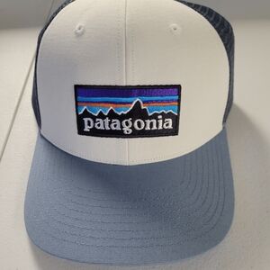 Patagonia P-6 Logo Trucker Hat WLGY